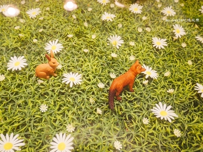 P1100675.jpg