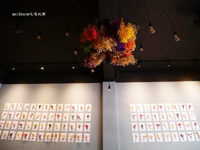 P1130045.jpg