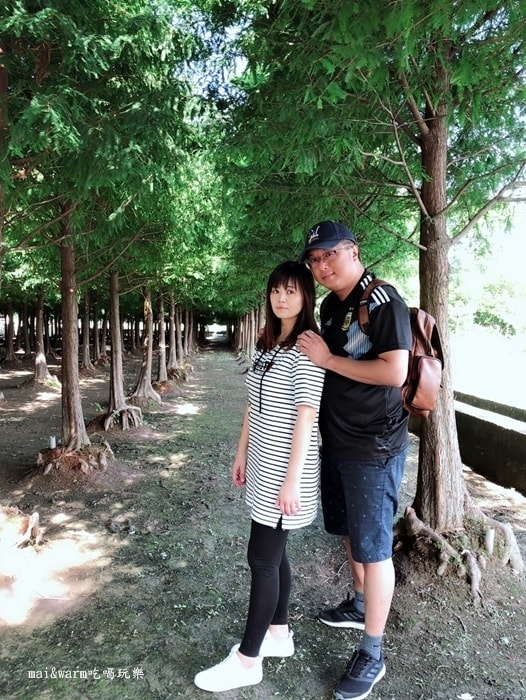 P1170752.jpg