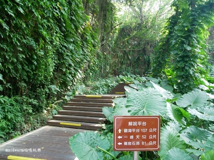 P1200775.jpg