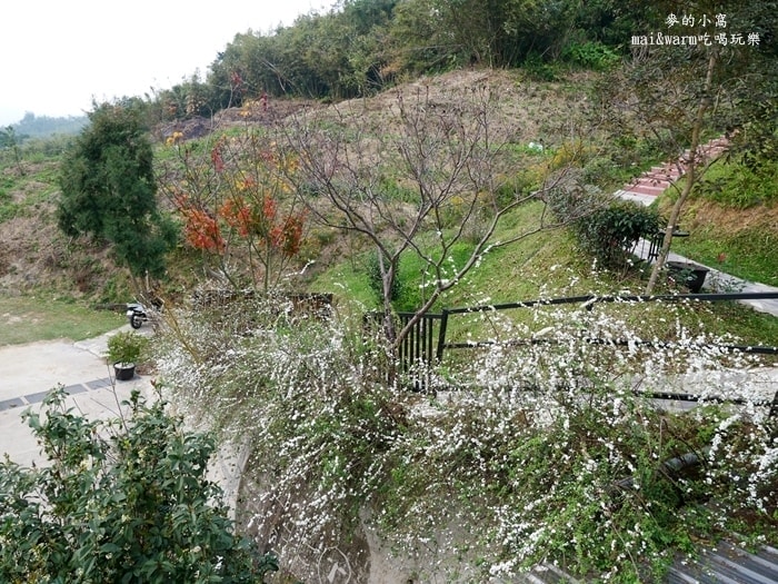P1240987.jpg