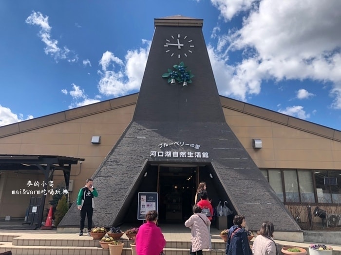 20190313_190355.jpg