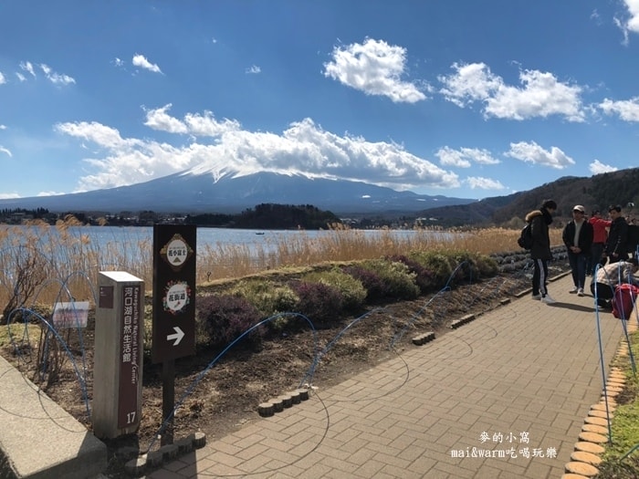 20190313_190360.jpg