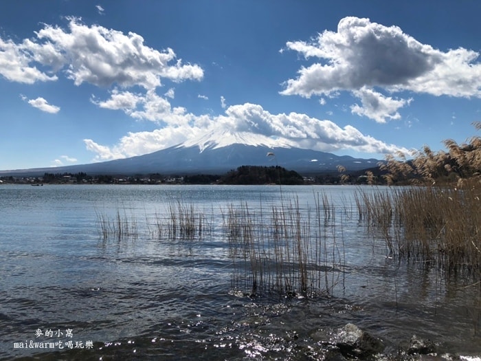 20190313_190362.jpg