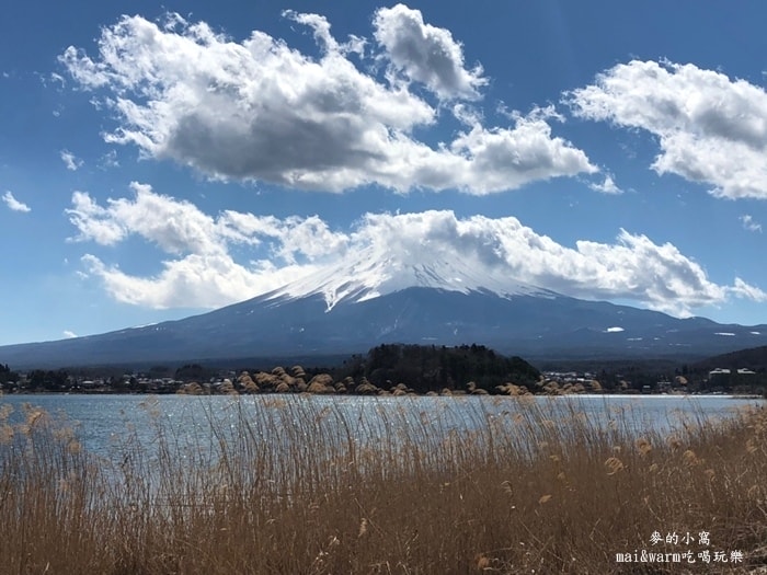 20190313_190367.jpg