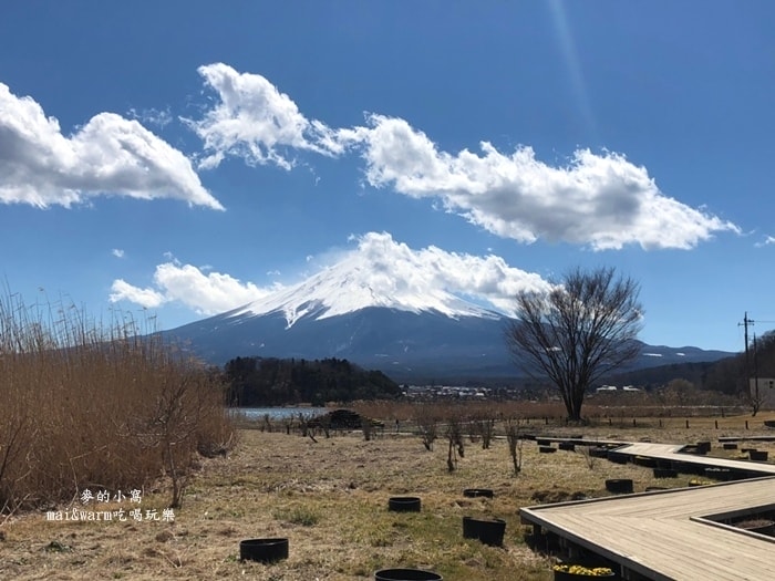 20190313_190368.jpg