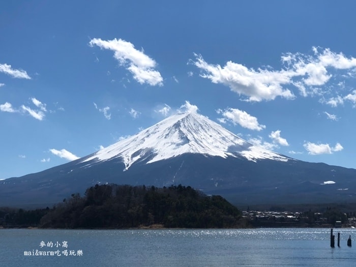20190313_190372.jpg