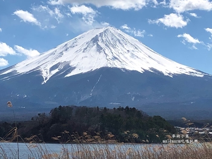 20190313_190378.jpg