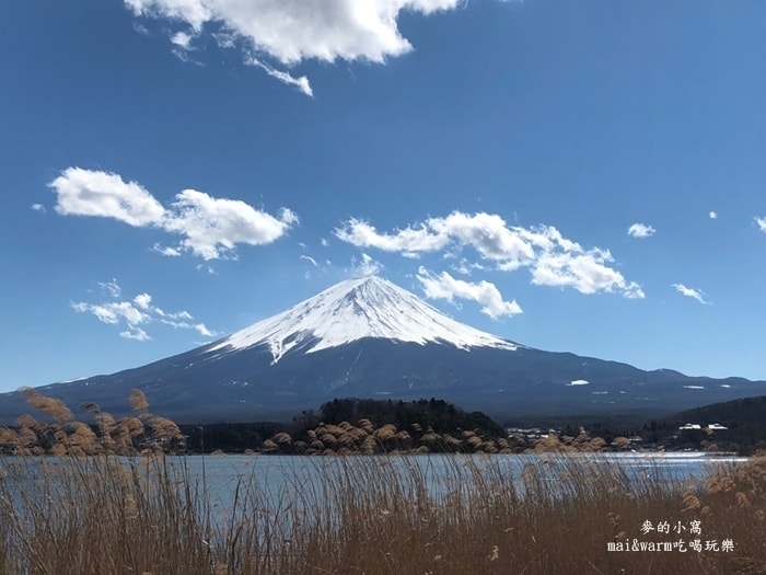 20190313_190379.jpg