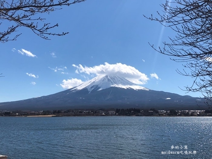 20190313_190384.jpg