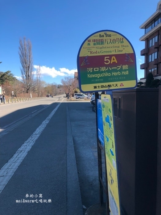 20190313_190389.jpg
