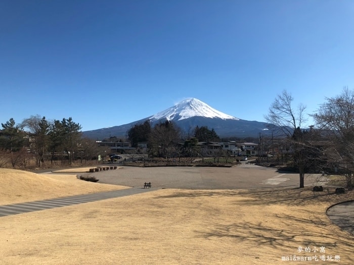 20190313_190393.jpg