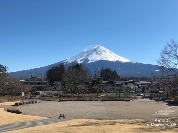 20190313_190394.jpg