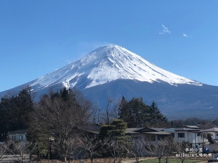 20190313_190397.jpg