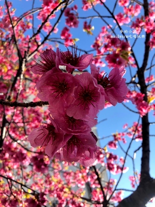 藍瓶_190424.jpg