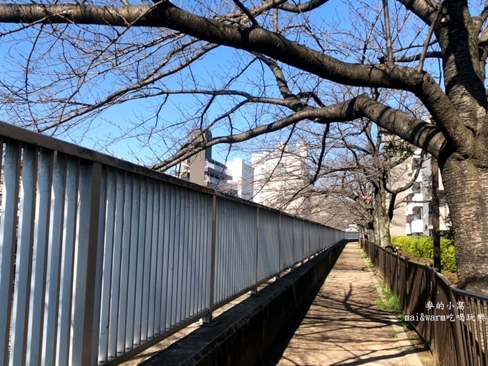 藍瓶_190423.jpg