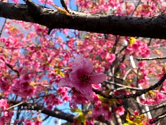 藍瓶_190425.jpg