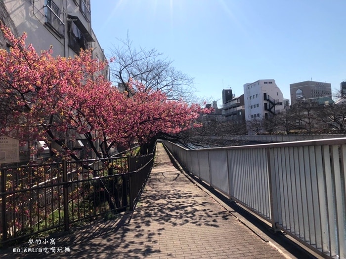 藍瓶_190426.jpg