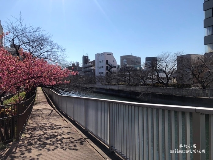 藍瓶_190427.jpg