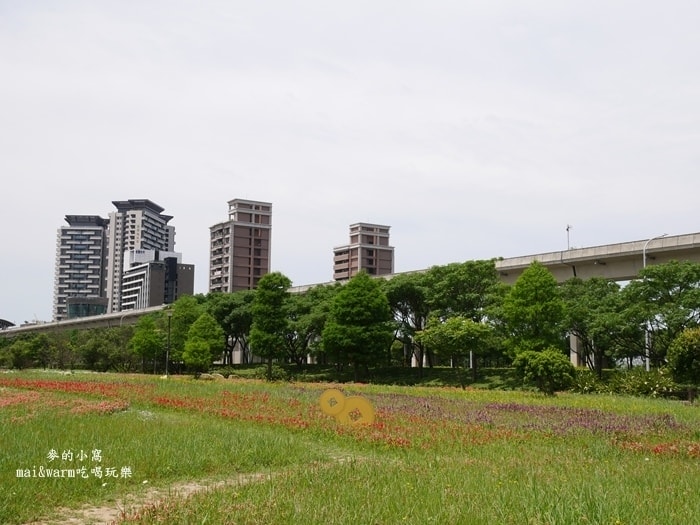 P1270843.jpg