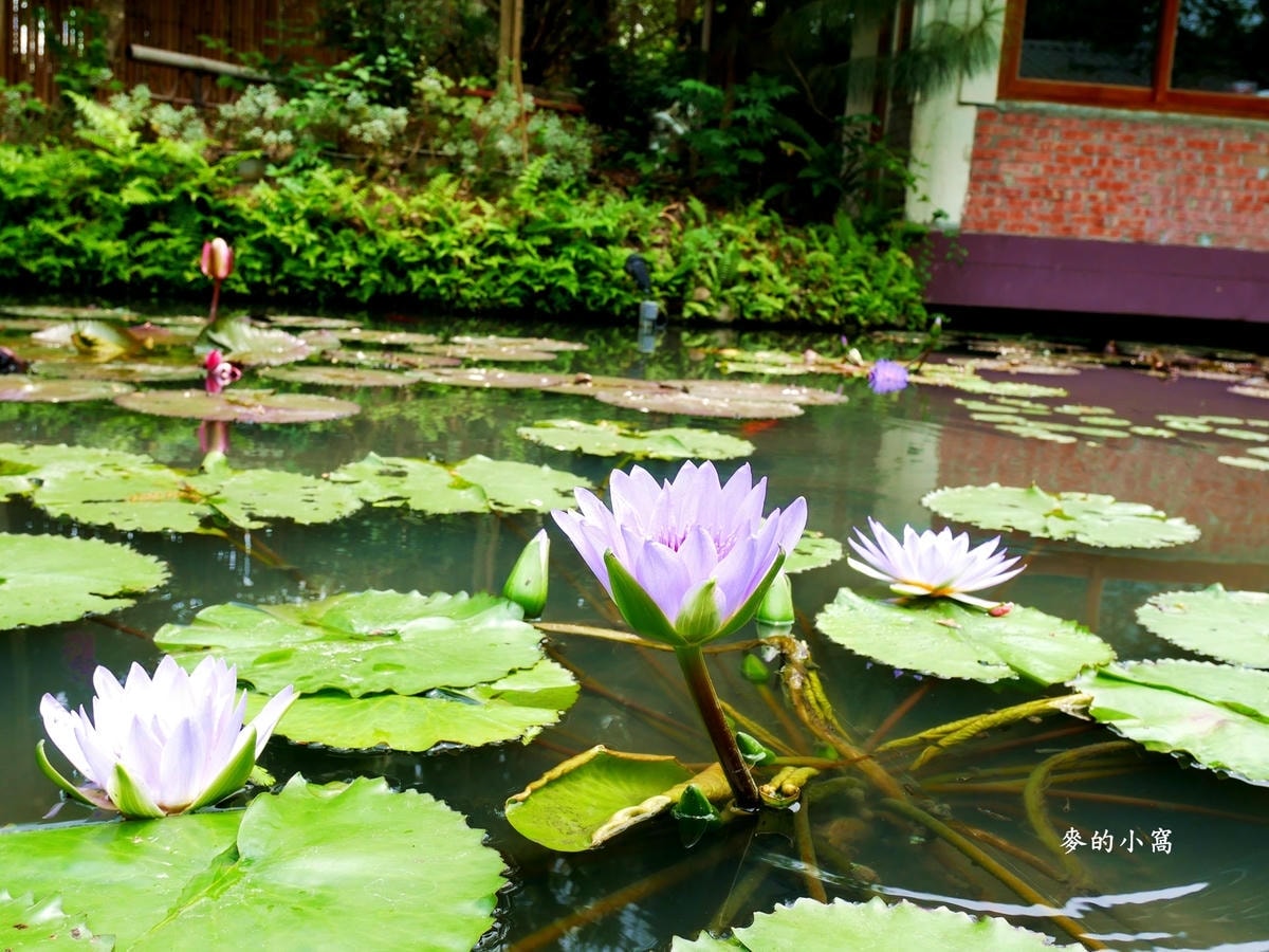 P1520942.jpg P1520942.jpg