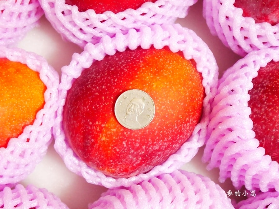 P1560878.jpg P1560878.jpg