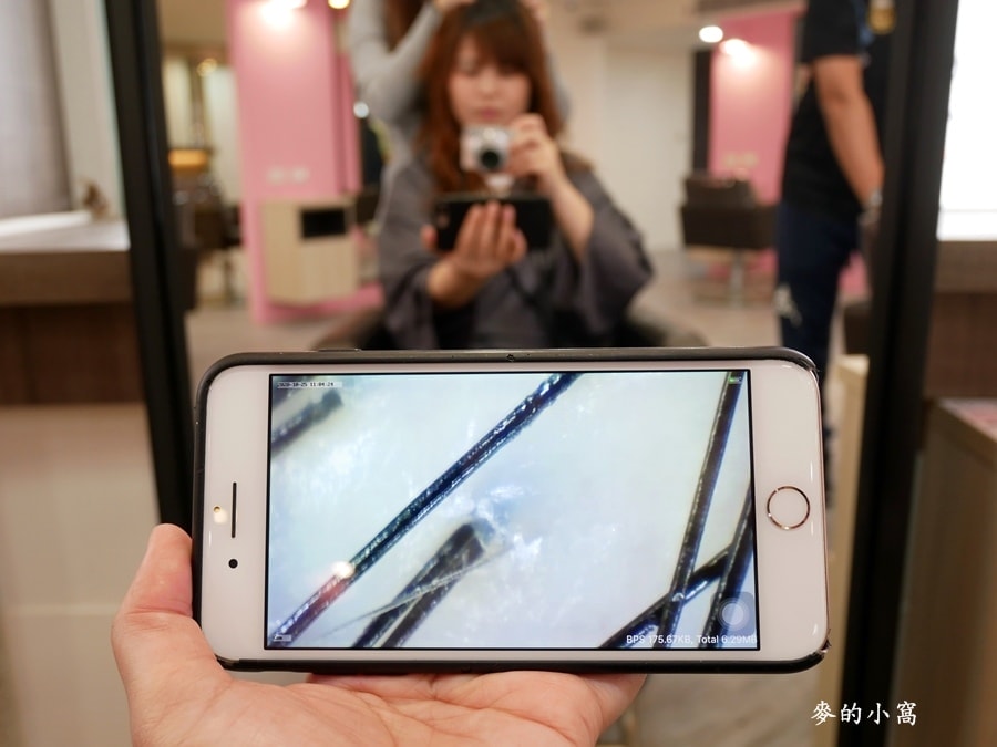 P1680856.JPG P1680856.JPG