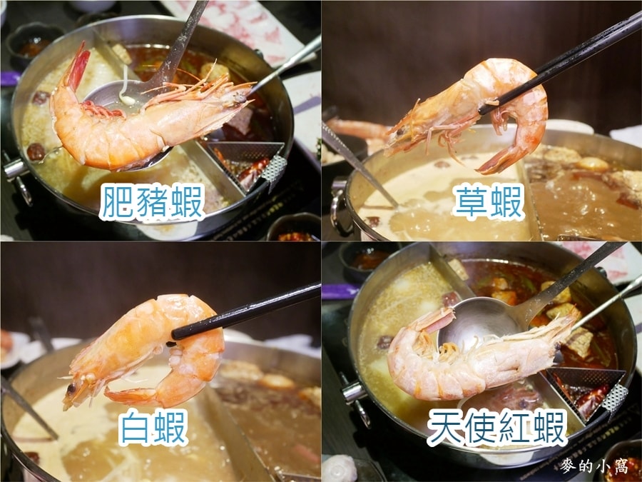 P1690269.jpg P1690269.jpg