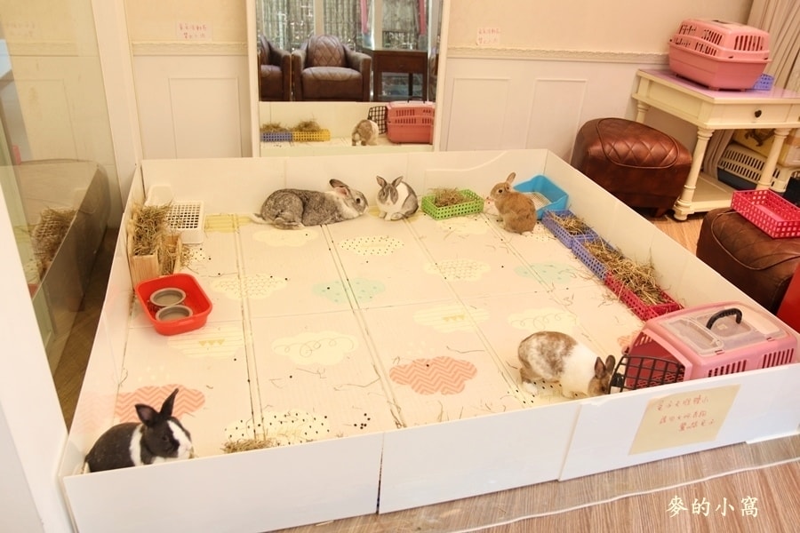 IMG_2421.JPG IMG_2421.JPG