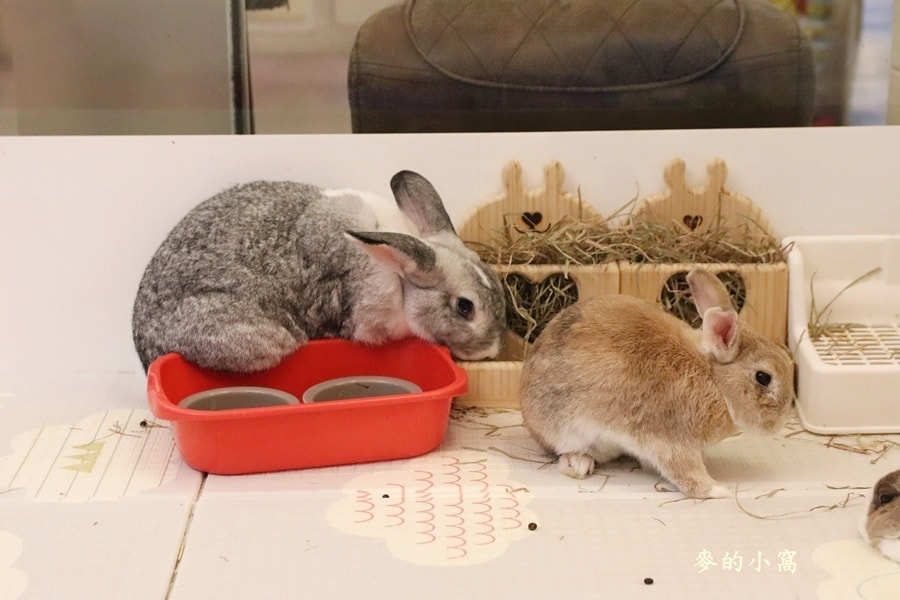 IMG_2422.JPG IMG_2422.JPG