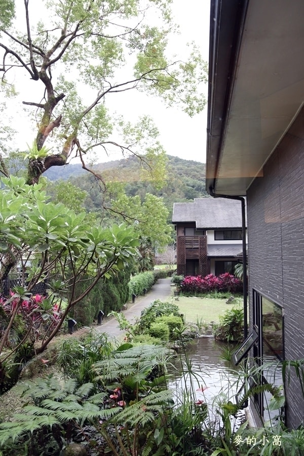 IMG_3196.JPG IMG_3196.JPG