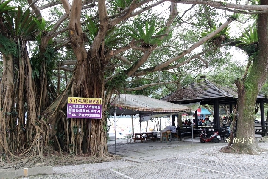 IMG_3382.JPG IMG_3382.JPG