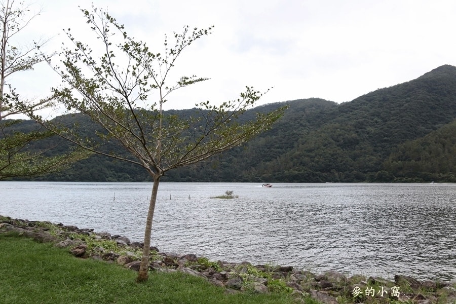 IMG_3431.JPG IMG_3431.JPG