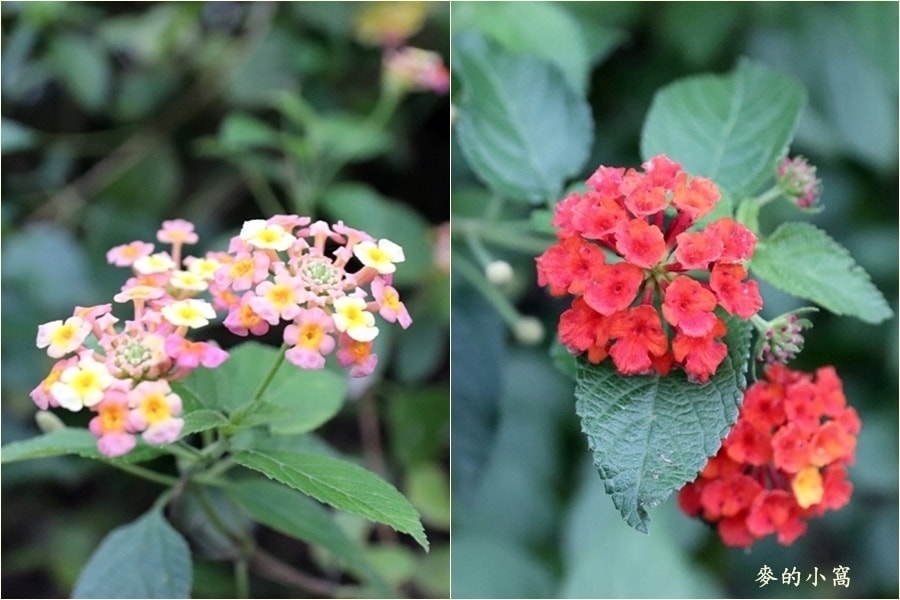 IMG_3436.jpg IMG_3436.jpg