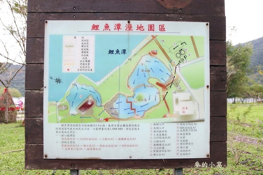 IMG_3439.JPG IMG_3439.JPG