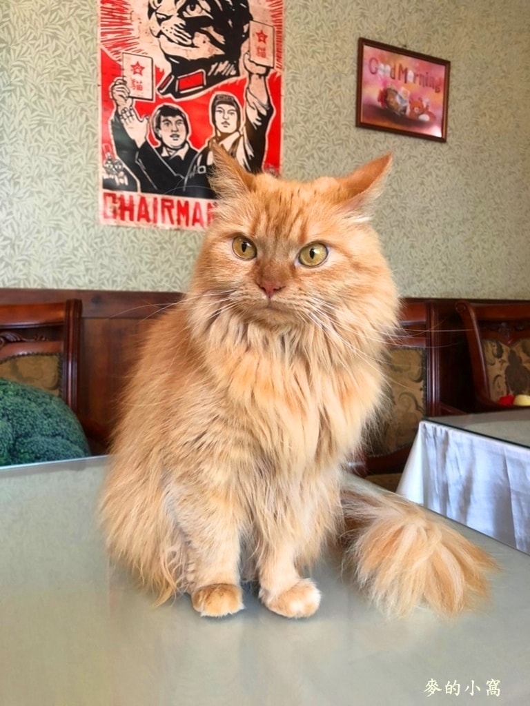 IMG_1457-1.jpg IMG_1457-1.jpg