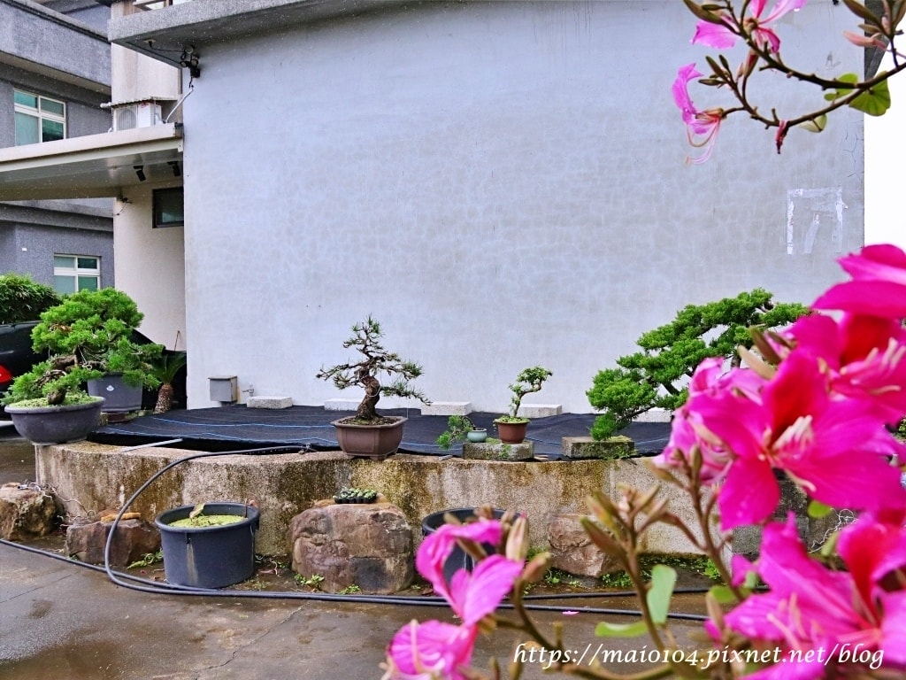 IMG_3451.JPG IMG_3451.JPG