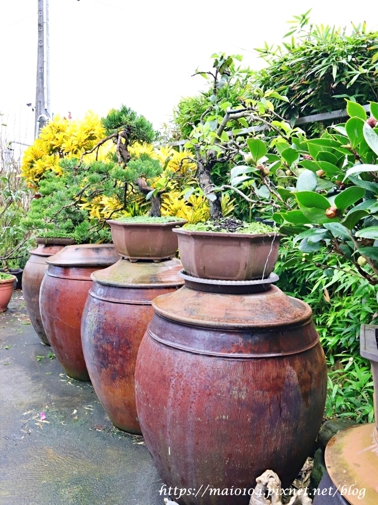 IMG_3453.JPG IMG_3453.JPG