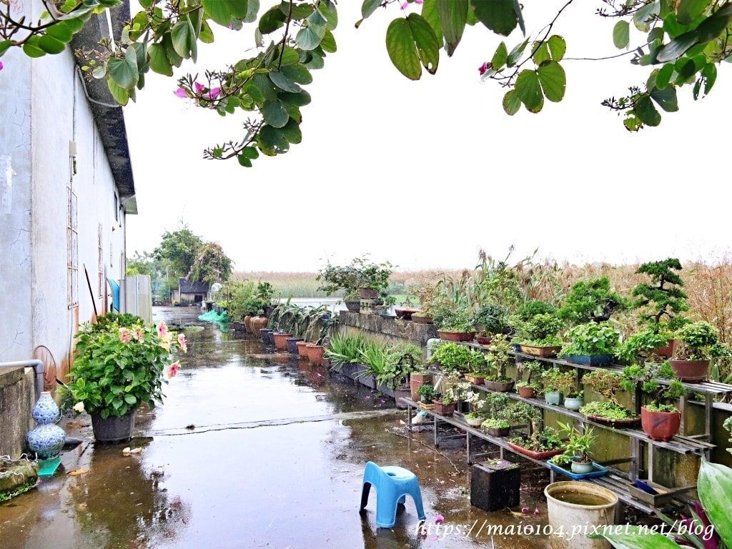 IMG_3454.JPG IMG_3454.JPG