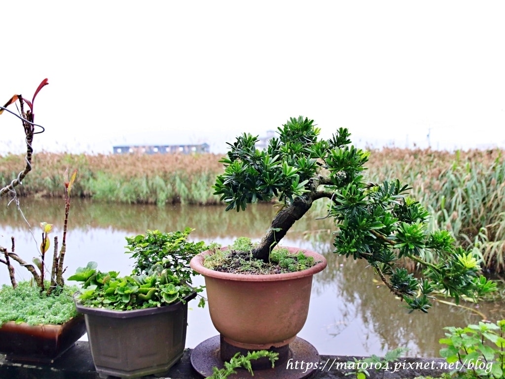 IMG_3458.JPG IMG_3458.JPG