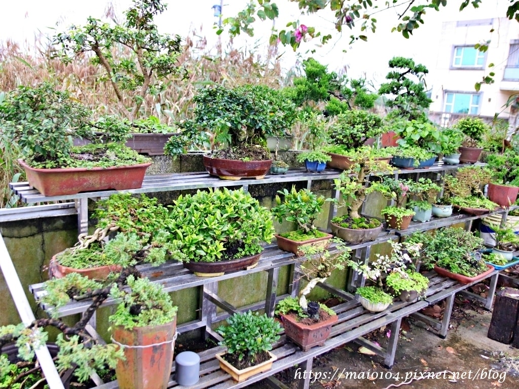 IMG_3457.JPG IMG_3457.JPG