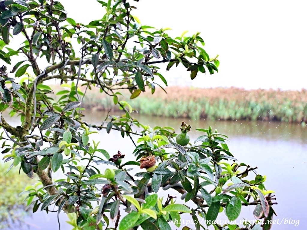 IMG_3459.JPG IMG_3459.JPG