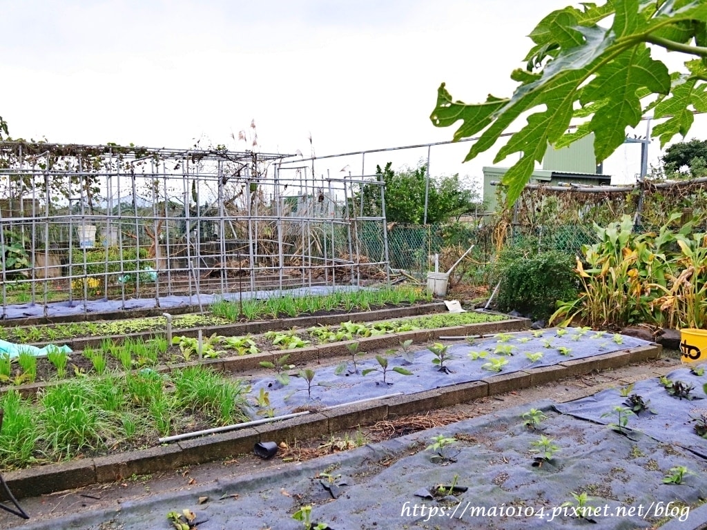 IMG_3462.JPG IMG_3462.JPG