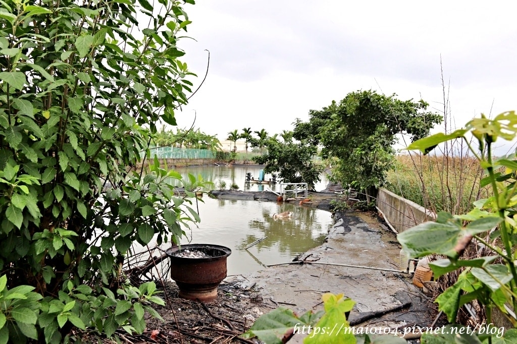 IMG_3464.JPG IMG_3464.JPG