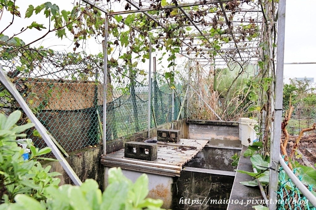 IMG_3465.JPG IMG_3465.JPG