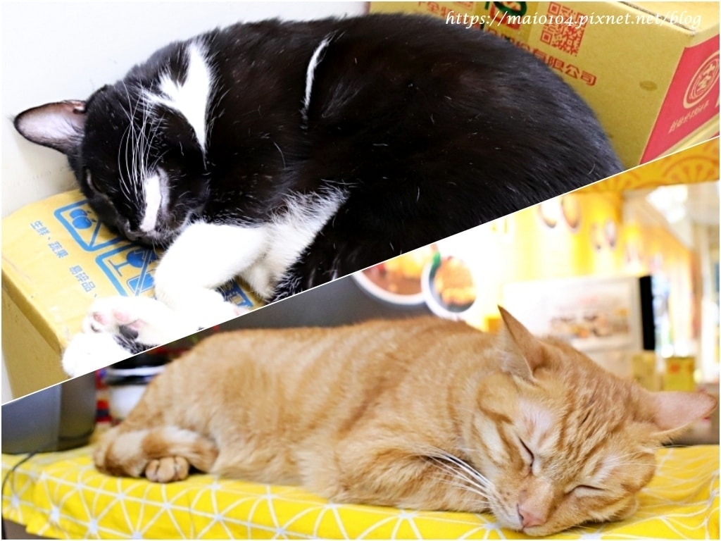 IMG_3011.jpg IMG_3011.jpg