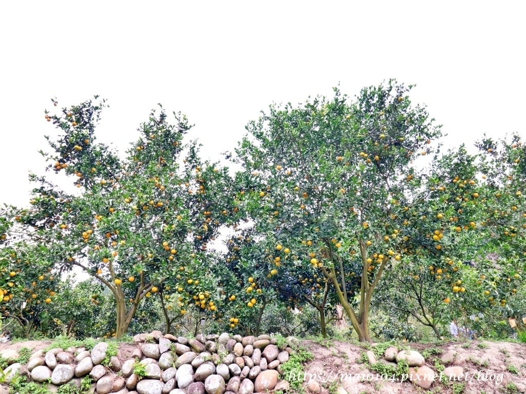 IMG_4237.JPG IMG_4237.JPG