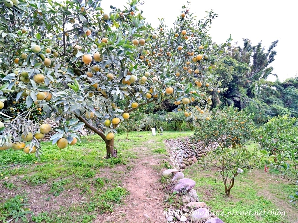 IMG_4238.JPG IMG_4238.JPG