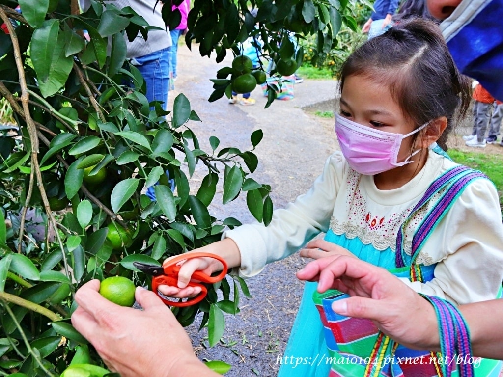 IMG_4242.JPG IMG_4242.JPG