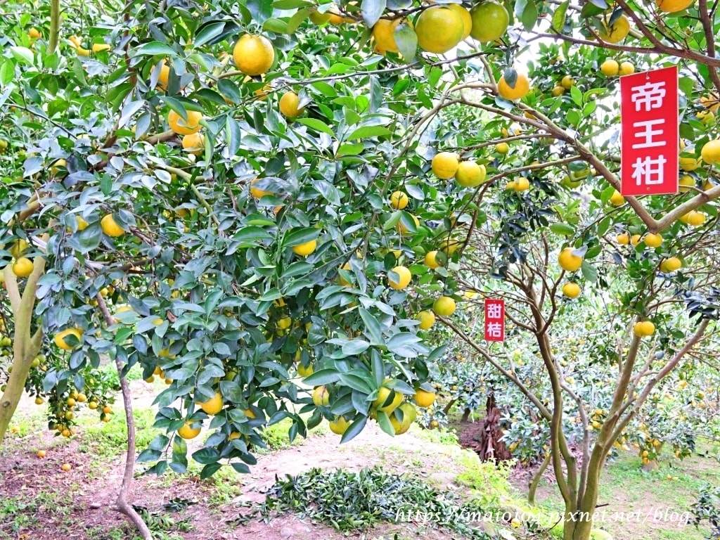 IMG_4243.JPG IMG_4243.JPG